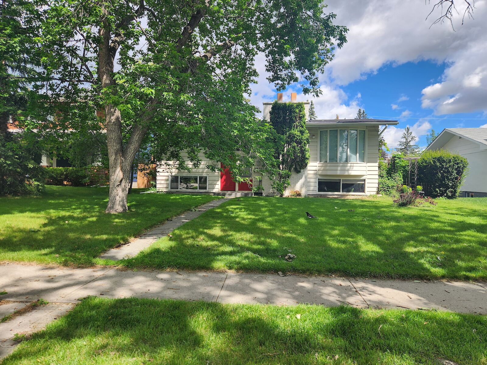 Calgary 2 bedrooms Basement for rent. Property photo: 647094-1