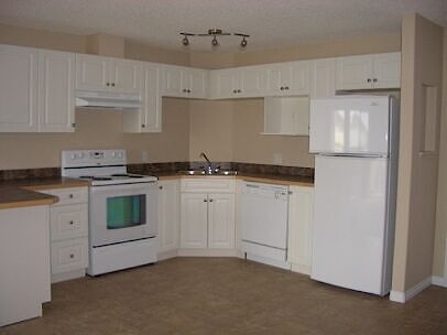Edmonton 1 bedroom Condo Unit for rent. Property photo: 647426-2