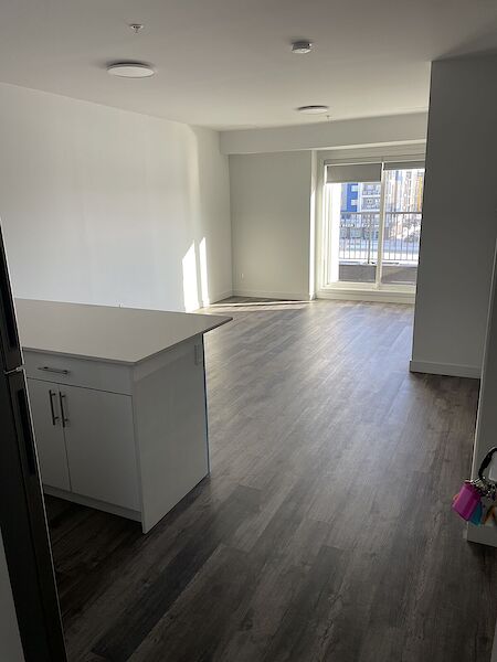 Edmonton 1 bedroom Condo Unit for rent. Property photo: 647811-3