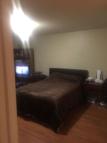 Calgary 2 bedrooms Condo Unit for rent. Property photo: 647938-2