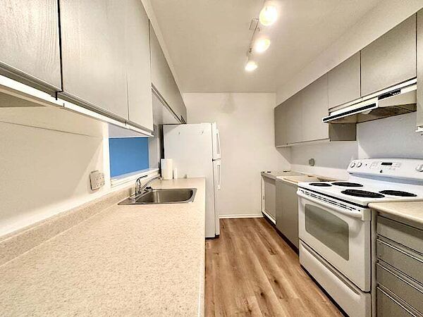 Ottawa 2 bedrooms Condo Unit for rent. Property photo: 648449-2