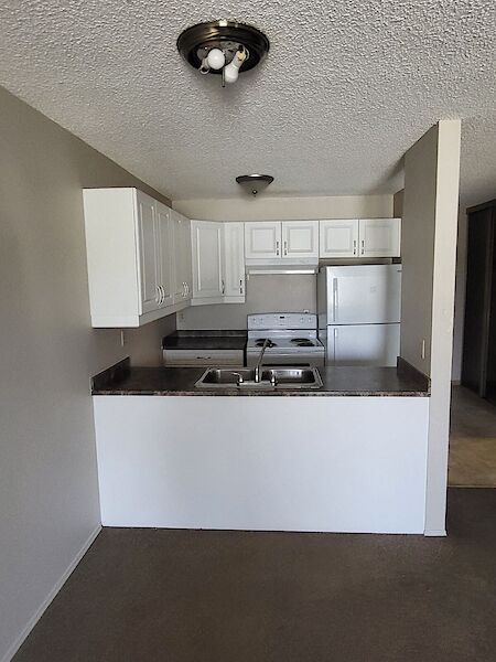 Edmonton 1 bedroom Apartment for rent. Property photo: 648533-3
