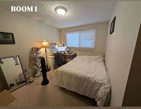 ROOM+1 Calgary 1 bedroom Room For Rent for rent. Property photo: 648856-1