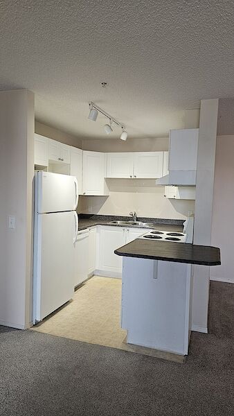 Calgary 2 bedrooms Condo Unit for rent. Property photo: 649172-2