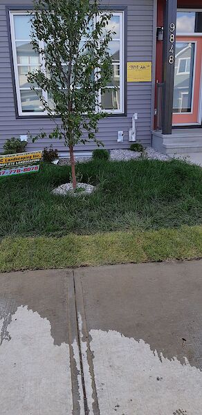 Edmonton 3 bedrooms House for rent. Property photo: 649376-2