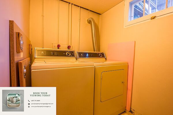 Edmonton 1 bedroom Basement for rent. Property photo: 673890-2