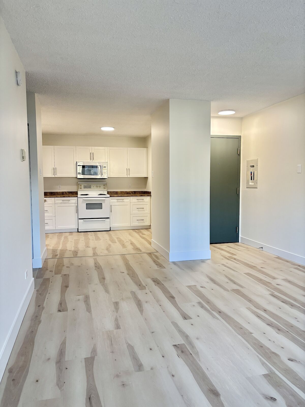Edmonton 1 bedroom Condo Unit for rent. Property photo: 678620-1