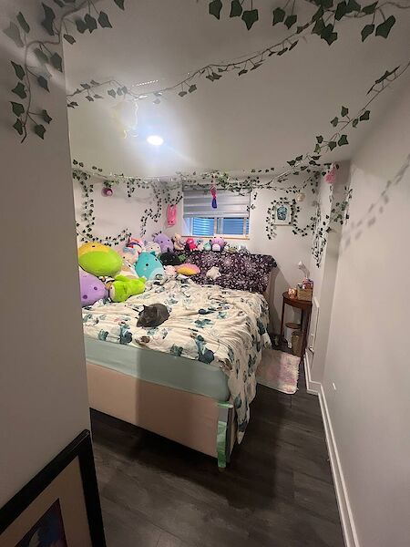 Calgary 1 bedroom Basement for rent. Property photo: 679388-2