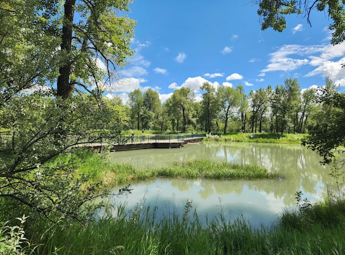 Calgary 2 bedrooms Room For Rent for rent. Property photo: 679389-1