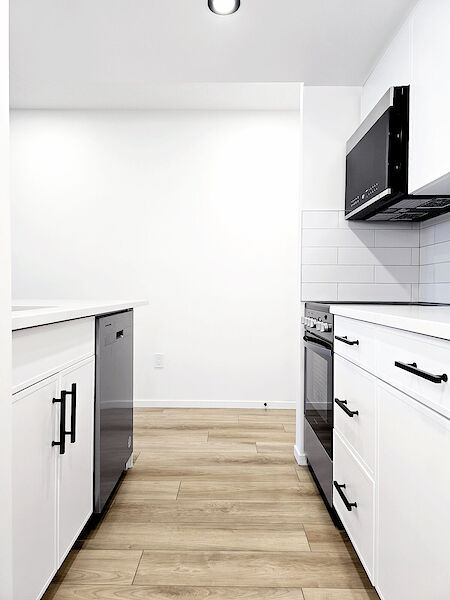 Edmonton 1 bedroom Duplex for rent. Property photo: 679911-3