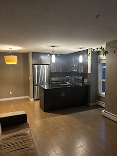 Calgary 2 bedrooms Condo Unit for rent. Property photo: 679991-1