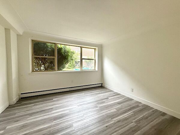 Hamilton 1 bedroom House for rent. Property photo: 680483-3