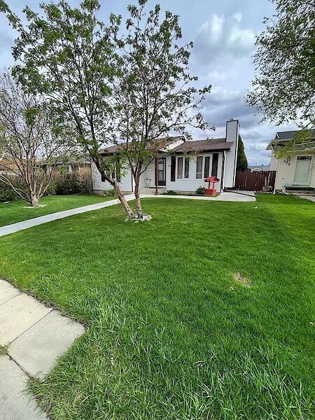 Calgary 4 bedrooms House for rent. Property photo: 681103-2