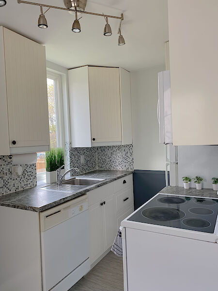 Winnipeg 3 bedrooms House for rent. Property photo: 681828-2