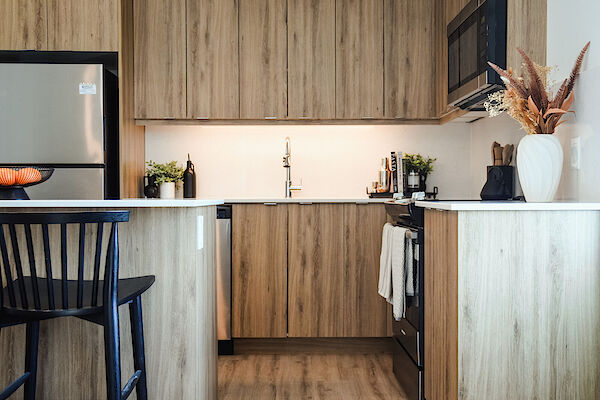 Ottawa bachelor bedrooms Apartment for rent. Property photo: 682203-3