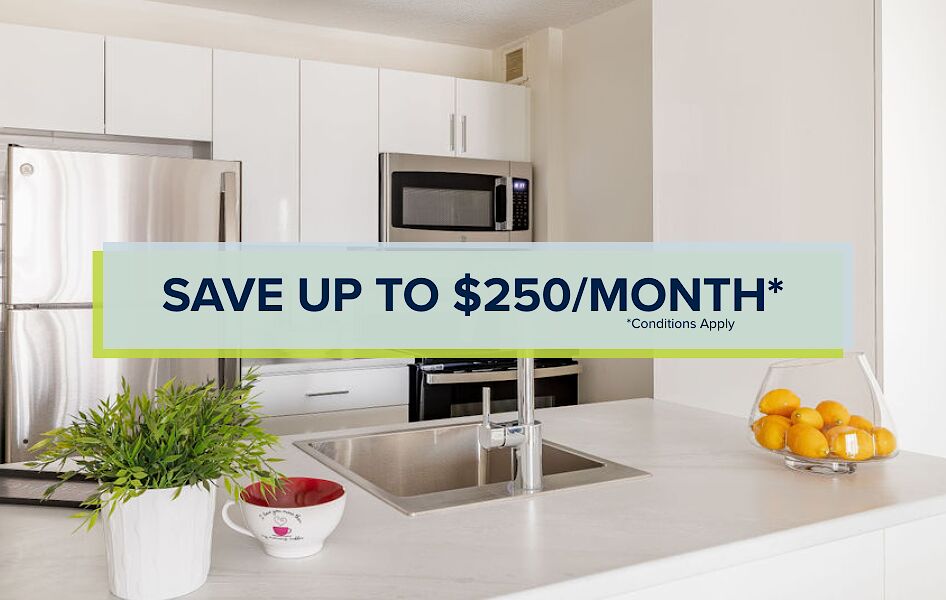 Ottawa 1 bedroom Townhouse for rent. Property photo: 682897-1