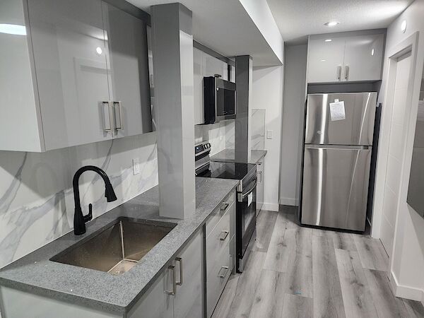 Edmonton 1 bedroom Basement for rent. Property photo: 683348-3