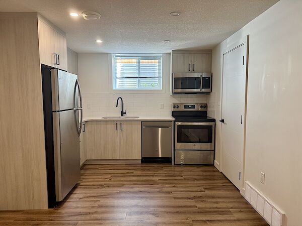 Edmonton 1 bedroom Basement for rent. Property photo: 683485-2