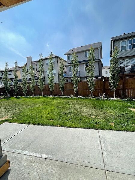 Calgary 2 + Den bedrooms Basement for rent. Property photo: 683856-2