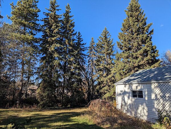 Edmonton 4 bedrooms House for rent. Property photo: 683981-2