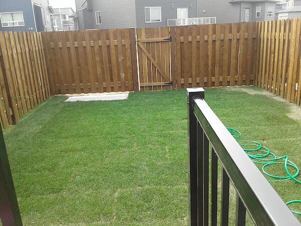 Calgary 1 bedroom Basement for rent. Property photo: 684265-3