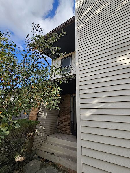 Calgary 2 + Den bedrooms Basement for rent. Property photo: 684392-3