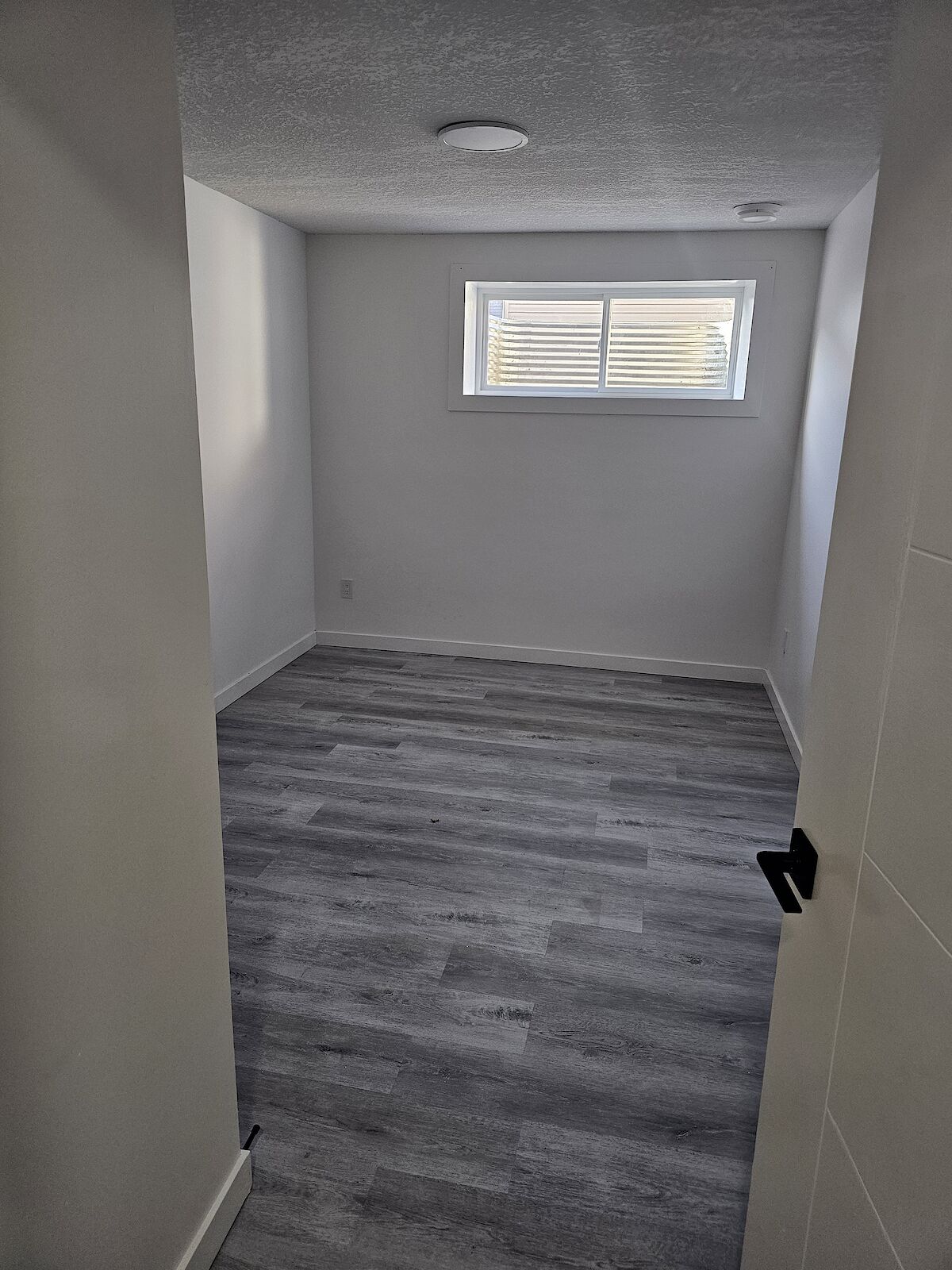 Edmonton 1 bedroom Basement for rent. Property photo: 684911-1