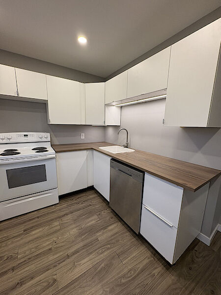 Winnipeg 5 bedrooms House for rent. Property photo: 685078-3