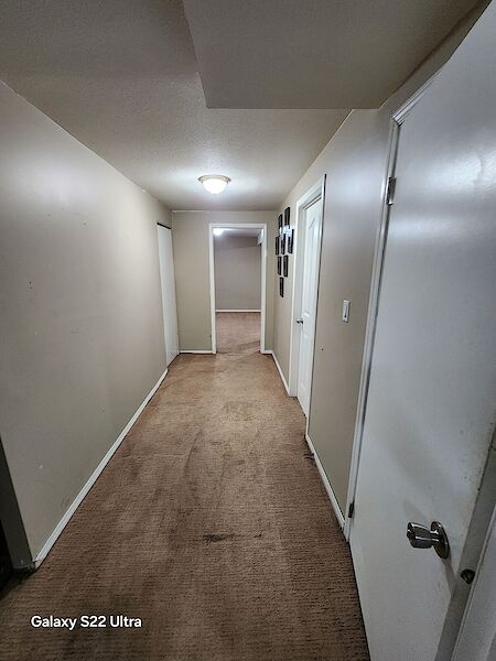 Edmonton 1 bedroom Basement for rent. Property photo: 685958-3