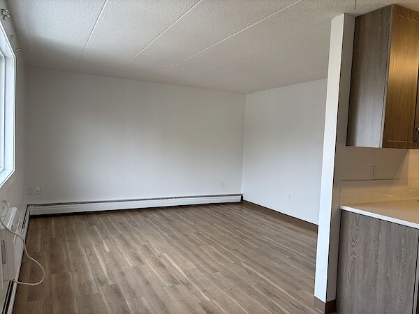 Regina 1 bedroom Apartment for rent. Property photo: 686437-2