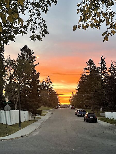 Calgary 3 bedrooms House for rent. Property photo: 686609-3