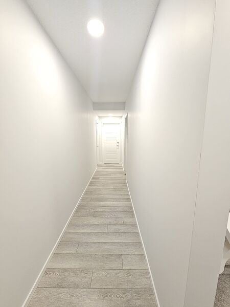 Sherwood Park 1 bedroom Basement for rent. Property photo: 687138-2