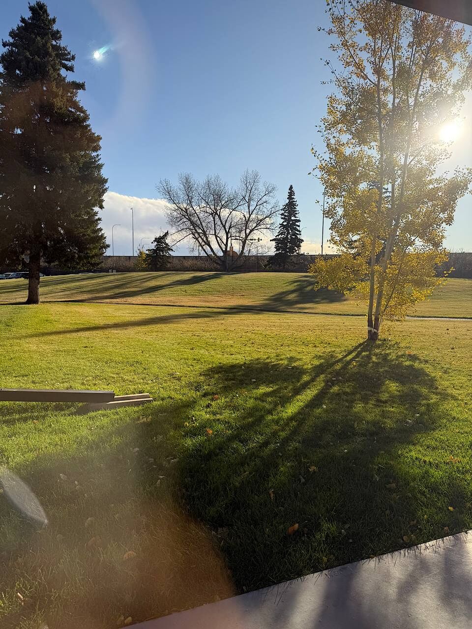 Calgary 2 bedrooms Condo Unit for rent. Property photo: 687618-1