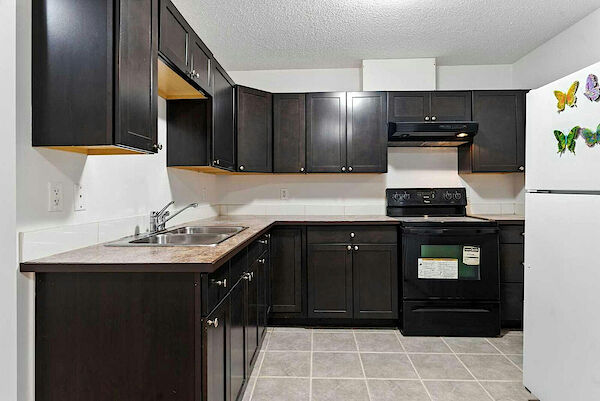 Calgary 2 bedrooms Basement for rent. Property photo: 687744-3
