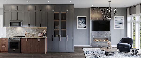 Ottawa 2 bedrooms Townhouse for rent. Property photo: 687900-3