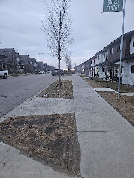 Edmonton 3 bedrooms Main Floor for rent. Property photo: 688310-2