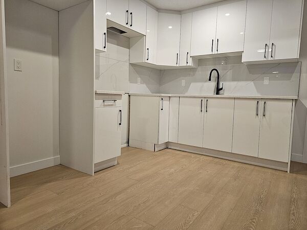Edmonton 1 bedroom Basement for rent. Property photo: 688323-3