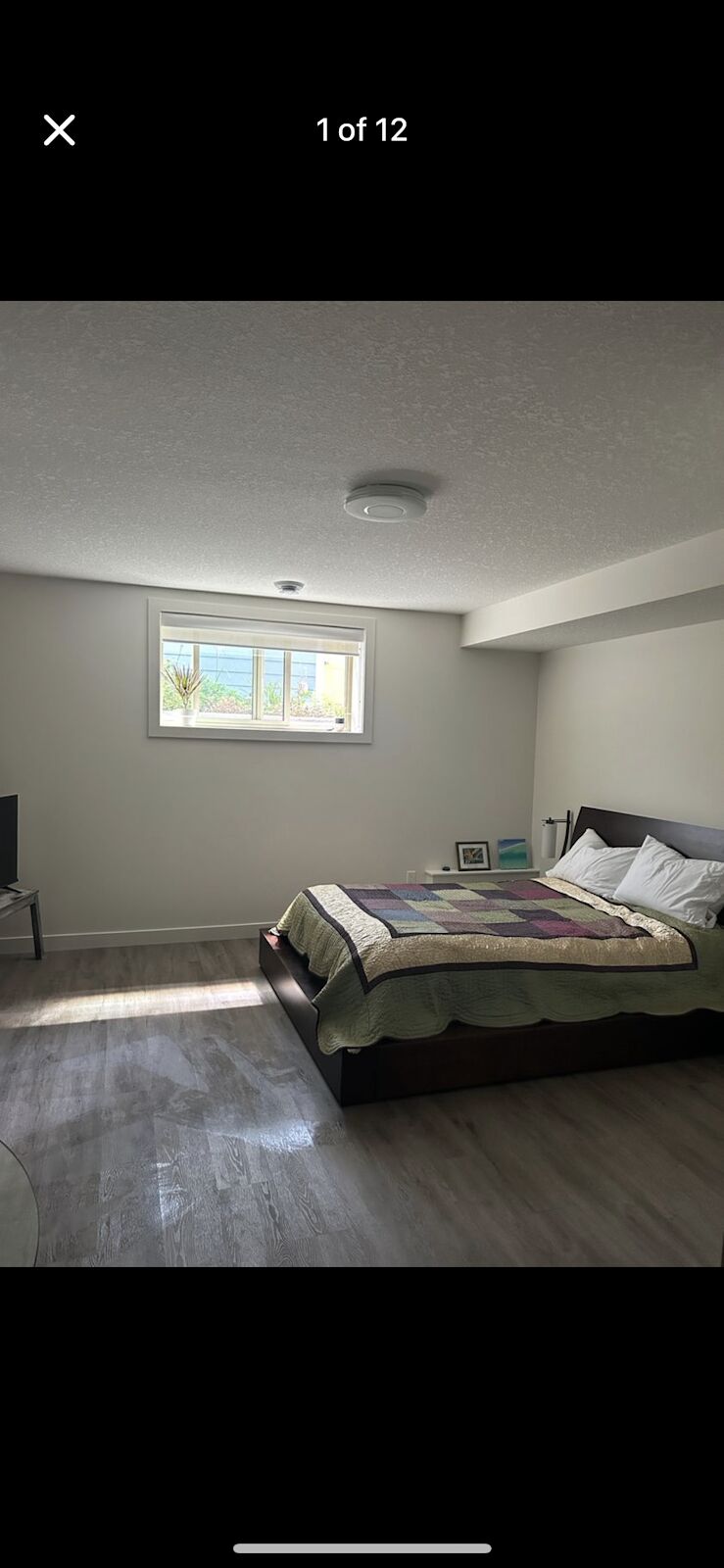 Calgary studio Basement for rent. Property photo: 689441-1