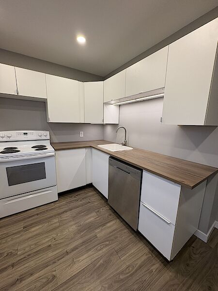 Winnipeg 5 bedrooms House for rent. Property photo: 698020-3