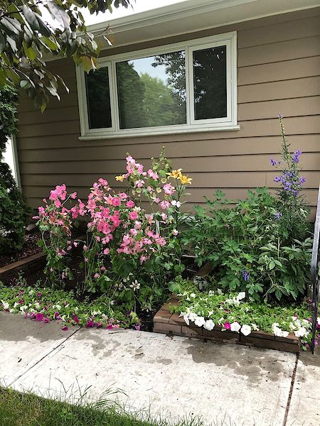 Calgary 1 bedroom Basement for rent. Property photo: 77406-2