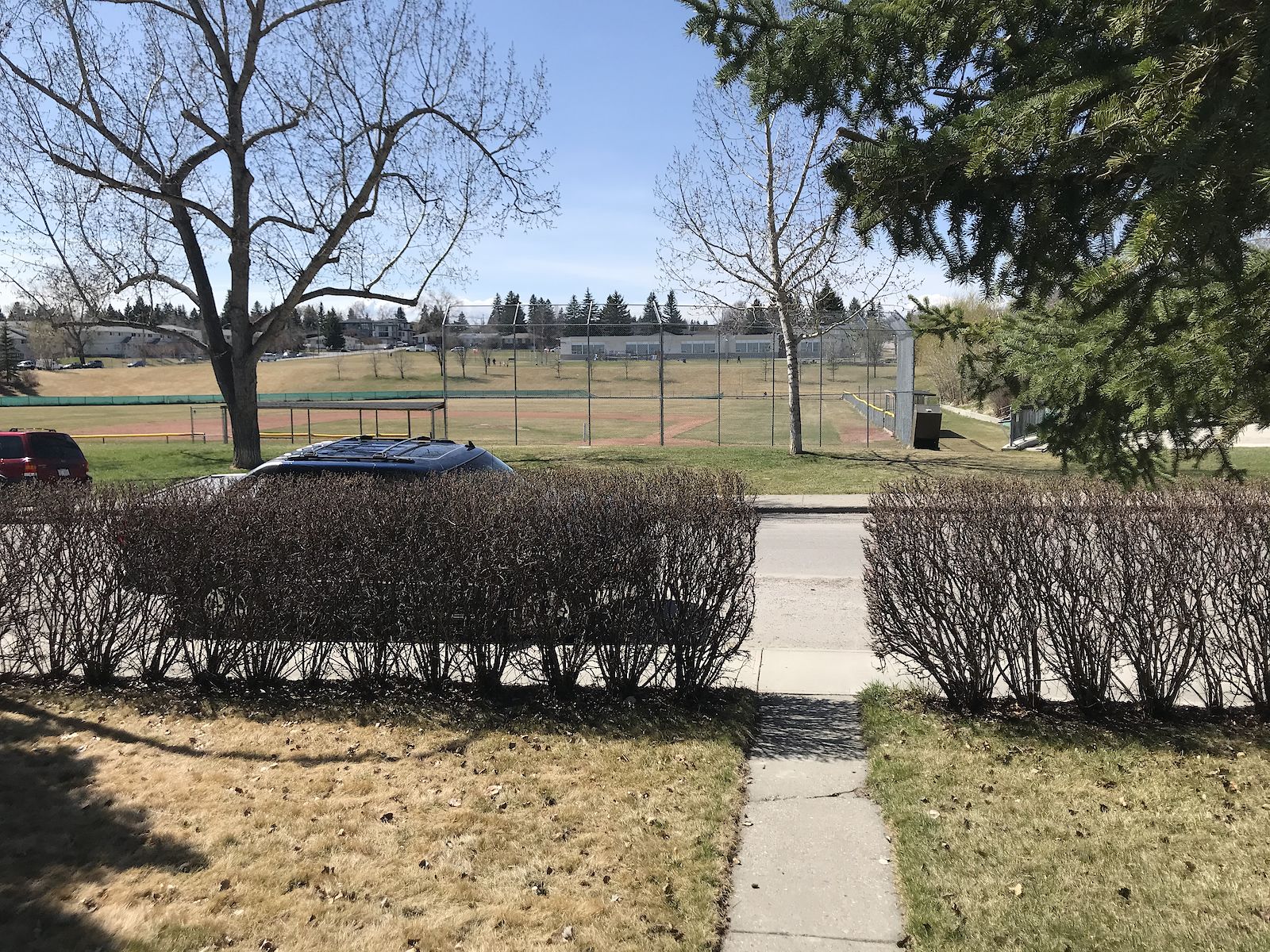 Calgary 2 bedrooms Basement for rent. Property photo: 89181-1