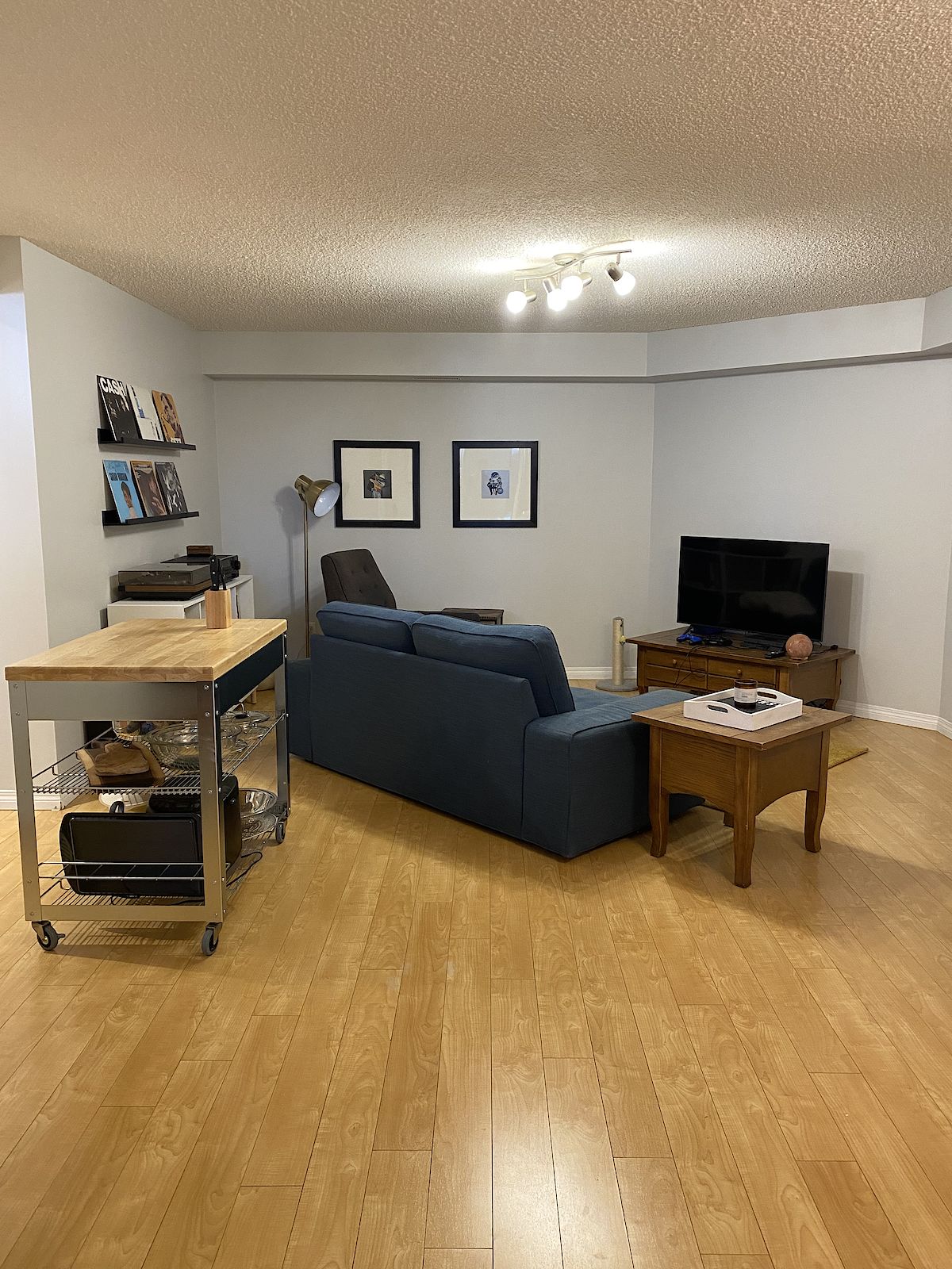 HUGE+OPEN+CONCEPT+LIVING+%26amp%3B+DINING+AREA Calgary 2 bedrooms Basement for rent. Property photo: 90670-1